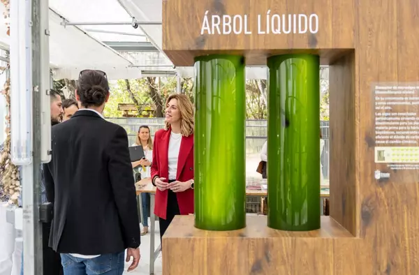 Pozuelo presenta su 'árbol líquido', uno de los primeros de España: reduce la huella de carbono y mejora la calidad del aire