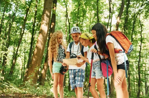 ESPECIAL: Campamentos de verano y Colonias Deportivas en Pozuelo 2024