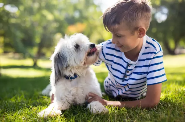 Pozuelo celebra una jornada canina con talleres, charlas y una exhibición muy especial este domingo