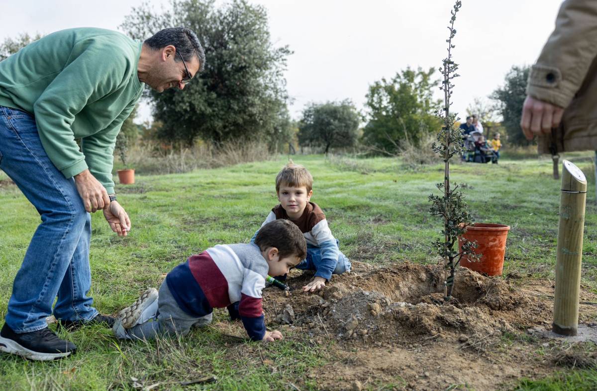 Cerca de 200 niños nacidos en 2022 y 2023  en Pozuelo tienen un árbol con su nombre en el Parque Forestal Adolfo Suárez