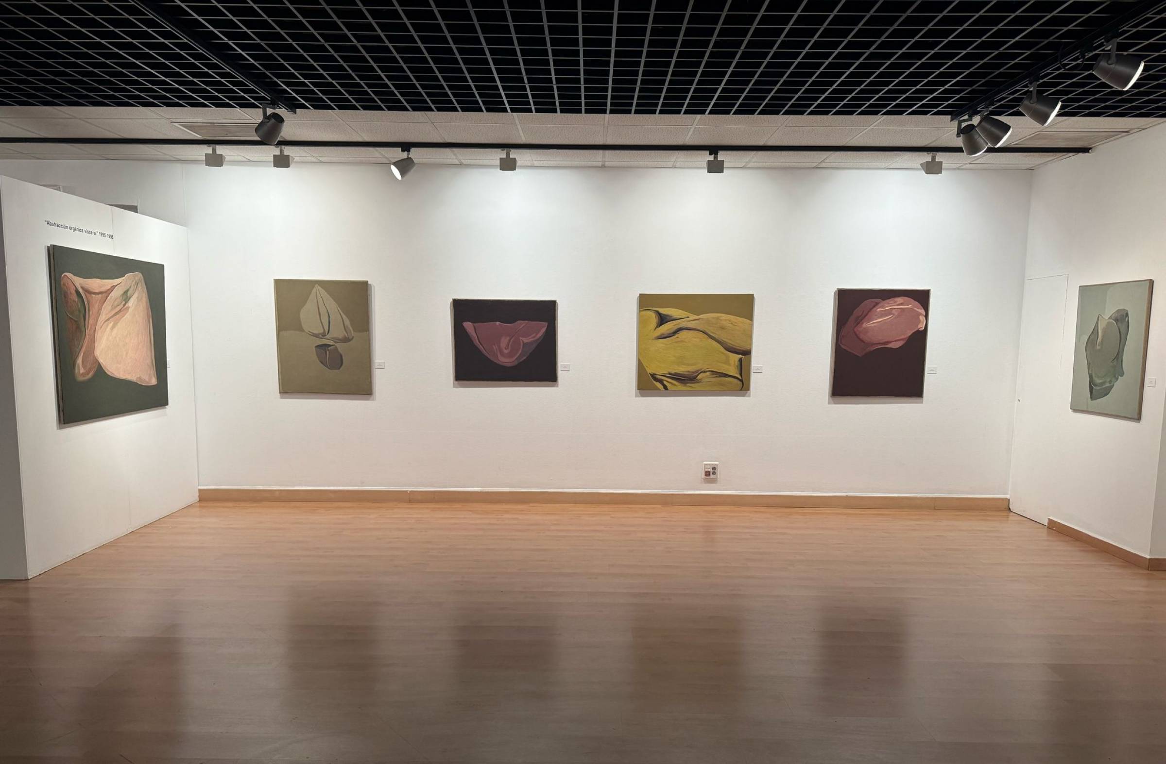 El Centro Cultural MIRA de Pozuelo acoge la obra del reconocido pintor de arte abstracto Soto Mesa 