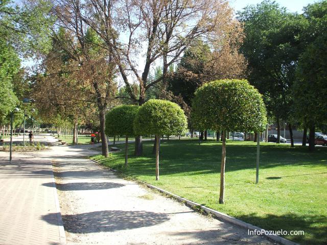 El PSOE propone medidas para el Ahorro del Agua