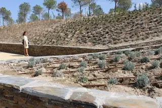 El Ayuntamiento de Pozuelo acondiciona la calle Siroco con zonas estanciales y ajardinadas