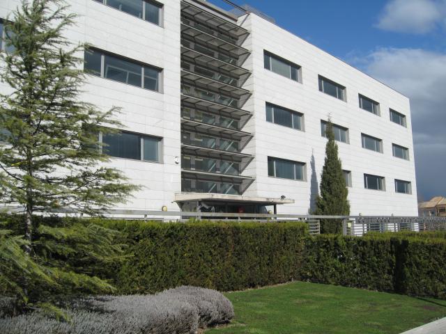 Tutores de Empleo, nuevo servicio municipal de orientación laboral para jóvenes de Pozuelo
