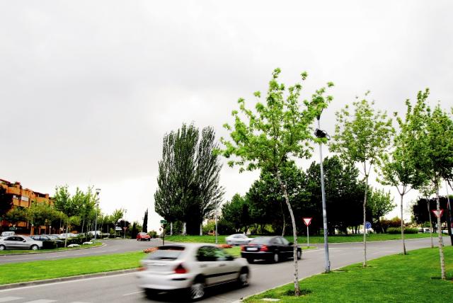 El Ayuntamiento de Pozuelo facilita las  gestiones administrativas de tu vehículo