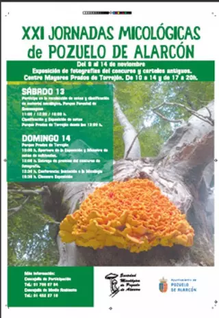 El Ayuntamiento organiza las XXI Edición de las Jornadas Micológicas