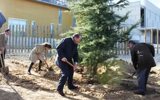 Más árboles para Pozuelo tras la plantación de una decena de cedros
