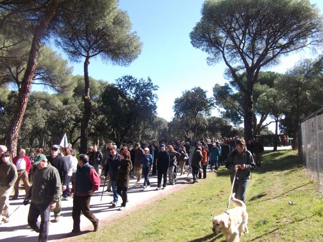 Asistencia masiva de vecinos a la manifestacion por el Monte de Majadahonda y Pozuelo
