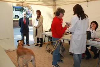 El Ayuntamiento inicia la Campaña de Vacunación antirrábica a perros y gatos