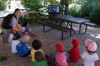 Nacen nueve carboneros en el Aula de Educación Ambiental de Pozuelo