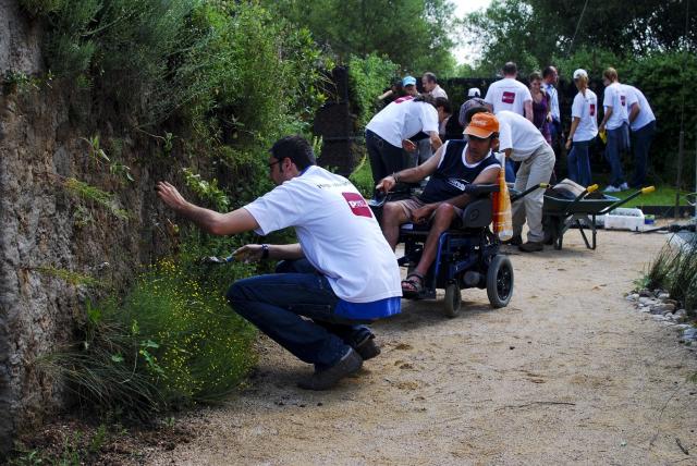 Voluntarios y adultos con discapacidad crean un jardín vertical en Pozuelo de Alarcón