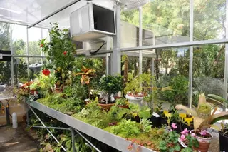 El Ayuntamiento de Pozuelo informa que  los usuarios del Hospital de Plantas pueden recoger ya sus ejemplares