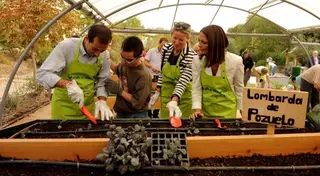 El consejero de Asuntos Sociales y la alcaldesa de Pozuelo reconocen la labor de los voluntarios del programa de Voluntariado Ambiental