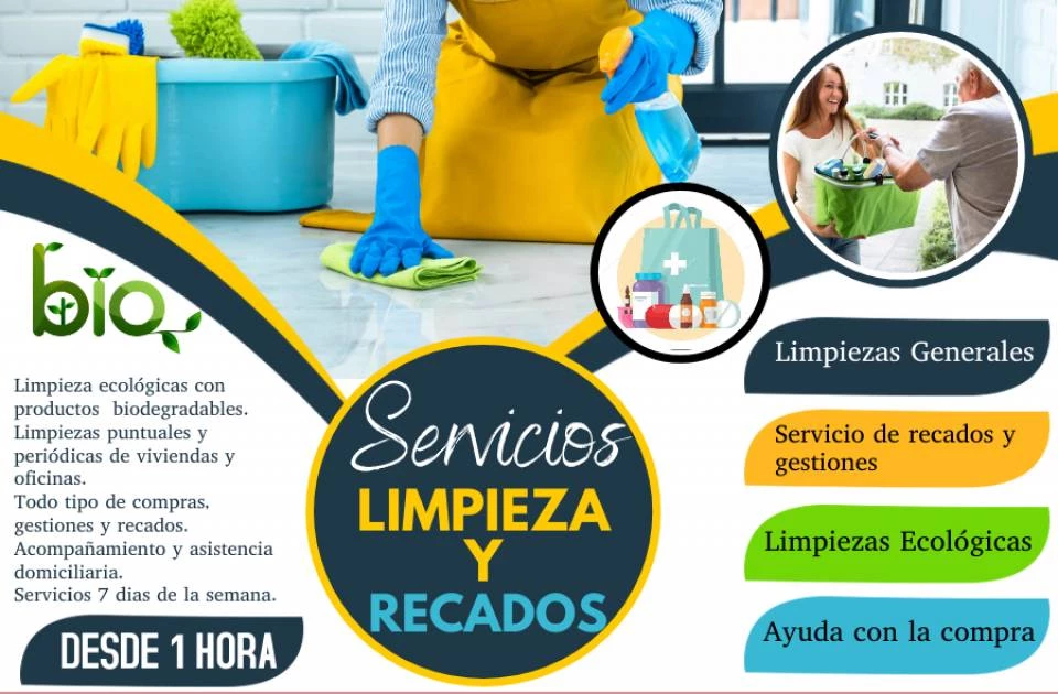 Servicio de limpiezas y recados