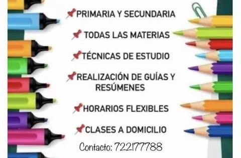 Maestra y pedagoga